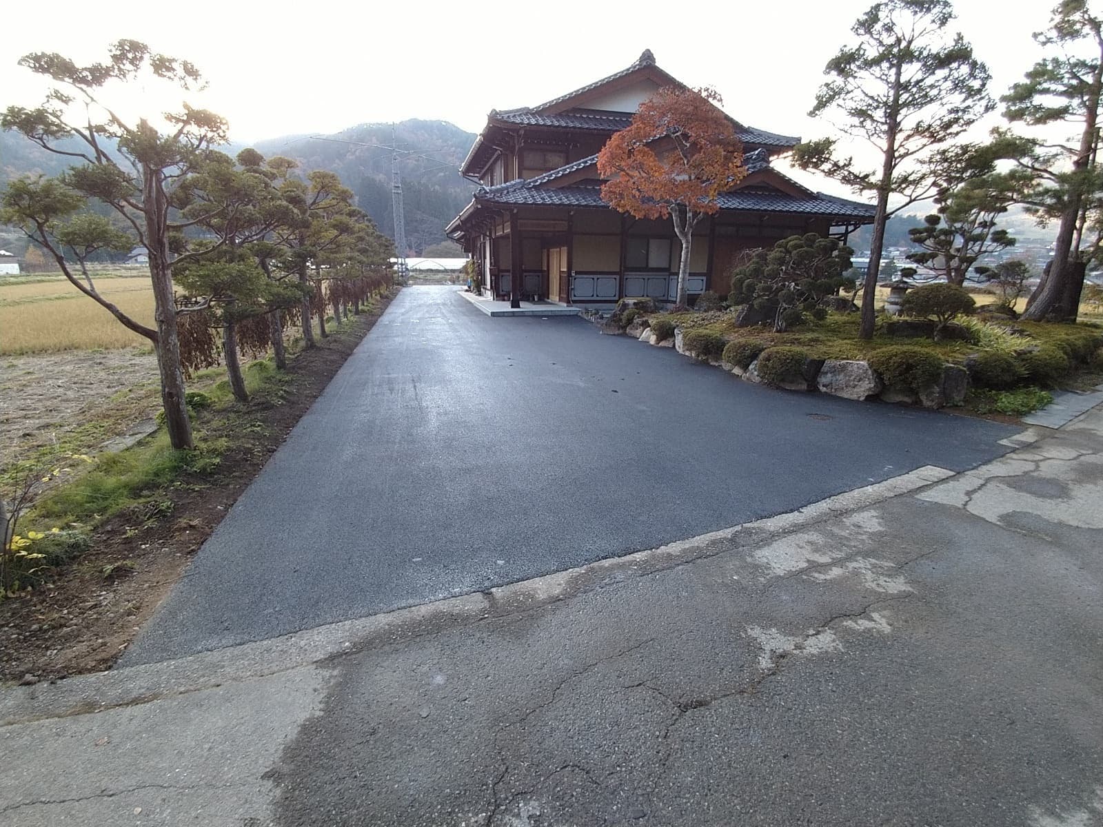 img20241118103626597751.jpg